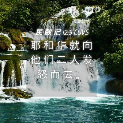 Picture 04 - 民 数 记 12:9 CUVS - 耶 和 华 就 向 他 们 二 人 发 怒 而 - Bible Verse Picture