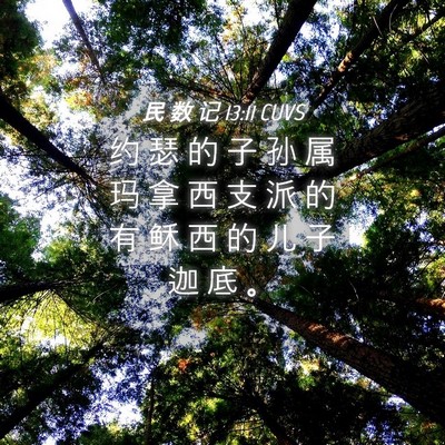 Picture 04 - 民 数 记 13:11 CUVS - 约 瑟 的 子 孙 属 玛 拿 西 支 派 的 - Bible Verse Picture