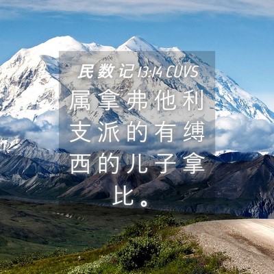 Picture 04 - 民 数 记 13:14 CUVS - 属 拿 弗 他 利 支 派 的 有 缚 西 的 - Bible Verse Picture