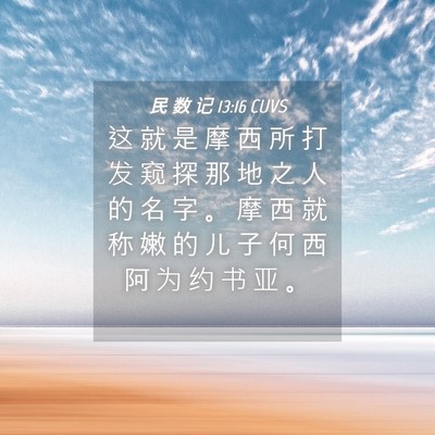 Picture 04 - 民 数 记 13:16 CUVS - 这 就 是 摩 西 所 打 发 窥 探 那 地 - Bible Verse Picture