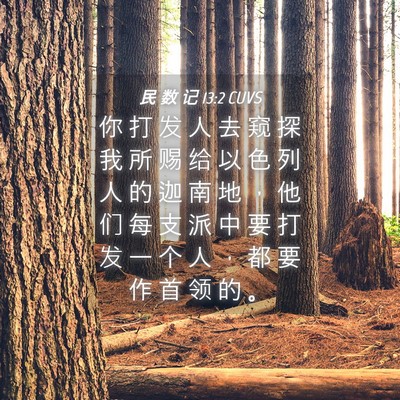 Picture 04 - 民 数 记 13:2 CUVS - 你 打 发 人 去 窥 探 我 所 赐 给 以 - Bible Verse Picture
