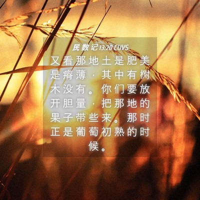Picture 04 - 民 数 记 13:20 CUVS - 又 看 那 地 土 是 肥 美 是 瘠 薄 ， - Bible Verse Picture