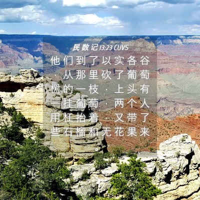 Picture 04 - 民 数 记 13:23 CUVS - 他 们 到 了 以 实 各 谷 ， 从 那 里 - Bible Verse Picture