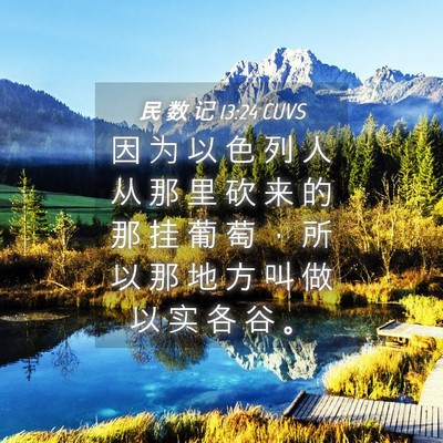 Picture 04 - 民 数 记 13:24 CUVS - 因 为 以 色 列 人 从 那 里 砍 来 的 - Bible Verse Picture