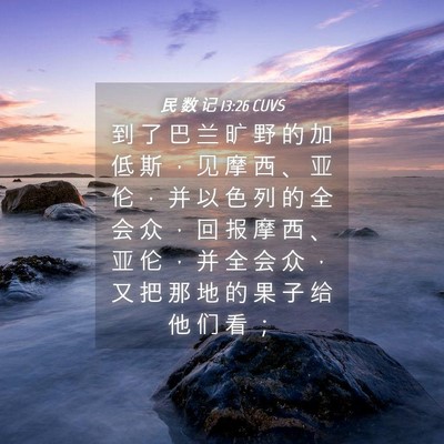 Picture 04 - 民 数 记 13:26 CUVS - 到 了 巴 兰 旷 野 的 加 低 斯 ， 见 - Bible Verse Picture