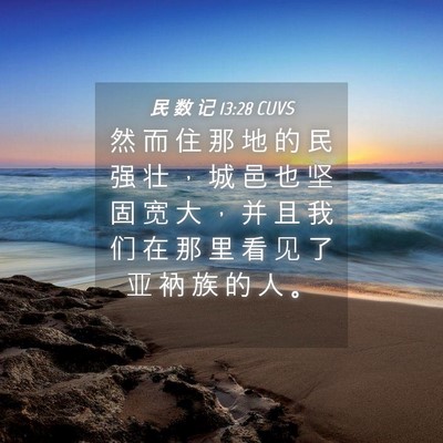 Picture 04 - 民 数 记 13:28 CUVS - 然 而 住 那 地 的 民 强 壮 ， 城 邑 - Bible Verse Picture