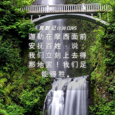 Picture 04 - 民 数 记 13:30 CUVS - 迦 勒 在 摩 西 面 前 安 抚 百 姓 ， - Bible Verse Picture