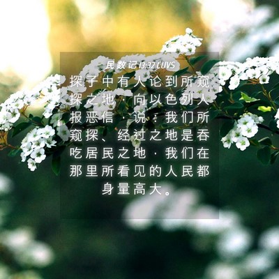 Picture 04 - 民 数 记 13:32 CUVS - 探 子 中 有 人 论 到 所 窥 探 之 地 - Bible Verse Picture