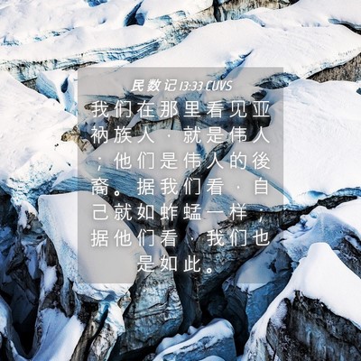 Picture 04 - 民 数 记 13:33 CUVS - 我 们 在 那 里 看 见 亚 衲 族 人 ， - Bible Verse Picture