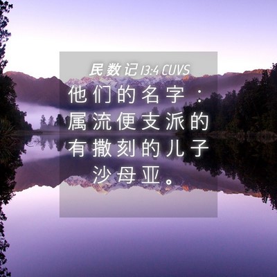 Picture 04 - 民 数 记 13:4 CUVS - 他 们 的 名 字 ： 属 流 便 支 派 的 - Bible Verse Picture
