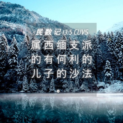 Picture 04 - 民 数 记 13:5 CUVS - 属 西 缅 支 派 的 有 何 利 的 儿 子 - Bible Verse Picture