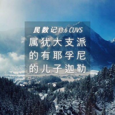 Picture 04 - 民 数 记 13:6 CUVS - 属 犹 大 支 派 的 有 耶 孚 尼 的 儿 - Bible Verse Picture