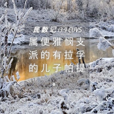 Picture 04 - 民 数 记 13:9 CUVS - 属 便 雅 悯 支 派 的 有 拉 孚 的 儿 - Bible Verse Picture