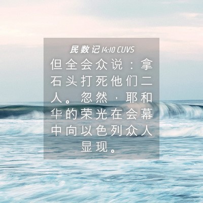 Picture 04 - 民 数 记 14:10 CUVS - 但 全 会 众 说 ： 拿 石 头 打 死 他 - Bible Verse Picture