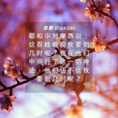 Picture 04 - 民 数 记 14:11 CUVS - 耶 和 华 对 摩 西 说 ： 这 百 姓 藐 - Bible Verse Picture