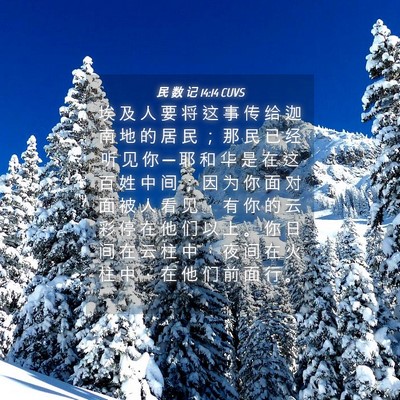 Picture 04 - 民 数 记 14:14 CUVS - 埃 及 人 要 将 这 事 传 给 迦 南 地 - Bible Verse Picture