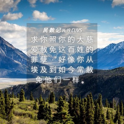 Picture 04 - 民 数 记 14:19 CUVS - 求 你 照 你 的 大 慈 爱 赦 免 这 百 - Bible Verse Picture