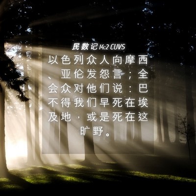 Picture 04 - 民 数 记 14:2 CUVS - 以 色 列 众 人 向 摩 西 、 亚 伦 发 - Bible Verse Picture