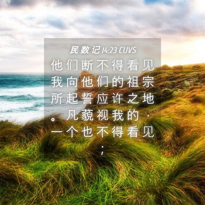 Picture 04 - 民 数 记 14:23 CUVS - 他 们 断 不 得 看 见 我 向 他 们 的 - Bible Verse Picture