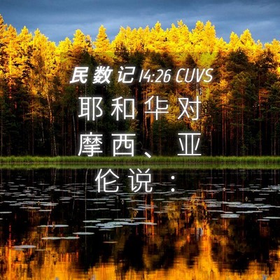 Picture 04 - 民 数 记 14:26 CUVS - 耶 和 华 对 摩 西 、 亚 伦 说 - Bible Verse Picture