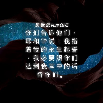 Picture 04 - 民 数 记 14:28 CUVS - 你 们 告 诉 他 们 ， 耶 和 华 说 ： - Bible Verse Picture