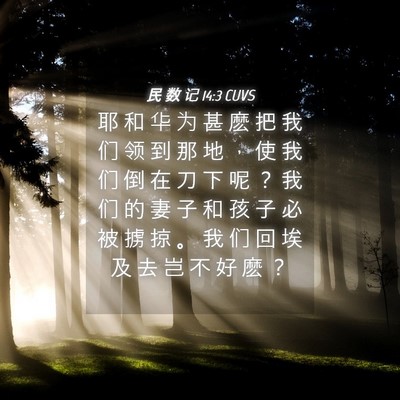 Picture 04 - 民 数 记 14:3 CUVS - 耶 和 华 为 甚 麽 把 我 们 领 到 那 - Bible Verse Picture