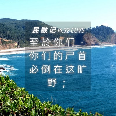 Picture 04 - 民 数 记 14:32 CUVS - 至 於 你 们 ， 你 们 的 尸 首 必 倒 - Bible Verse Picture