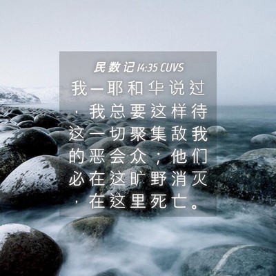 Picture 04 - 民 数 记 14:35 CUVS - 我 ─ 耶 和 华 说 过 ， 我 总 要 这 - Bible Verse Picture