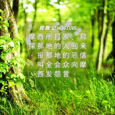 Picture 04 - 民 数 记 14:36 CUVS - 摩 西 所 打 发 、 窥 探 那 地 的 人 - Bible Verse Picture