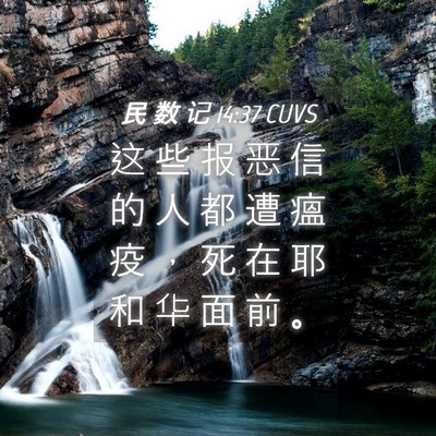 Picture 04 - 民 数 记 14:37 CUVS - 这 些 报 恶 信 的 人 都 遭 瘟 疫 ， - Bible Verse Picture