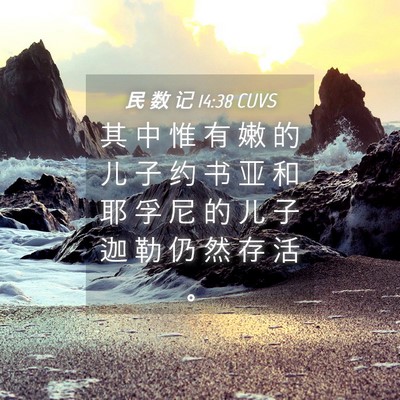 Picture 04 - 民 数 记 14:38 CUVS - 其 中 惟 有 嫩 的 儿 子 约 书 亚 和 - Bible Verse Picture
