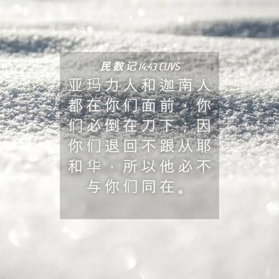 Picture 04 - 民 数 记 14:43 CUVS - 亚 玛 力 人 和 迦 南 人 都 在 你 们 - Bible Verse Picture