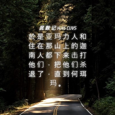 Picture 04 - 民 数 记 14:45 CUVS - 於 是 亚 玛 力 人 和 住 在 那 山 上 - Bible Verse Picture