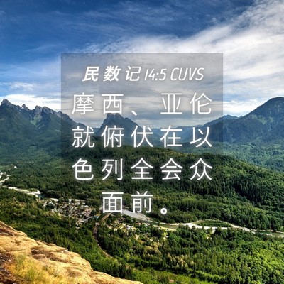 Picture 04 - 民 数 记 14:5 CUVS - 摩 西 、 亚 伦 就 俯 伏 在 以 色 列 - Bible Verse Picture