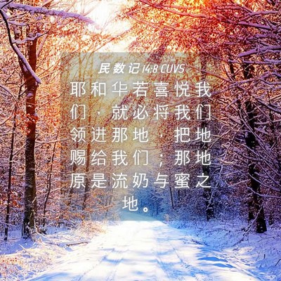 Picture 04 - 民 数 记 14:8 CUVS - 耶 和 华 若 喜 悦 我 们 ， 就 必 将 - Bible Verse Picture