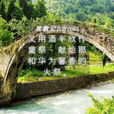 Picture 04 - 民 数 记 15:10 CUVS - 又 用 酒 半 欣 作 奠 祭 ， 献 给 耶 - Bible Verse Picture