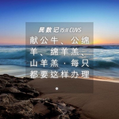 Picture 04 - 民 数 记 15:11 CUVS - 献 公 牛 、 公 绵 羊 、 绵 羊 羔 、 - Bible Verse Picture