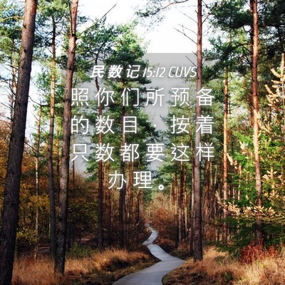 Picture 04 - 民 数 记 15:12 CUVS - 照 你 们 所 预 备 的 数 目 ， 按 着 - Bible Verse Picture