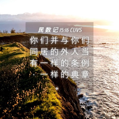 Picture 04 - 民 数 记 15:16 CUVS - 你 们 并 与 你 们 同 居 的 外 人 当 - Bible Verse Picture