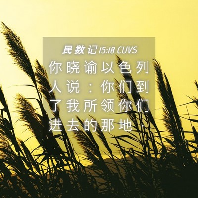 Picture 04 - 民 数 记 15:18 CUVS - 你 晓 谕 以 色 列 人 说 ： 你 们 到 - Bible Verse Picture