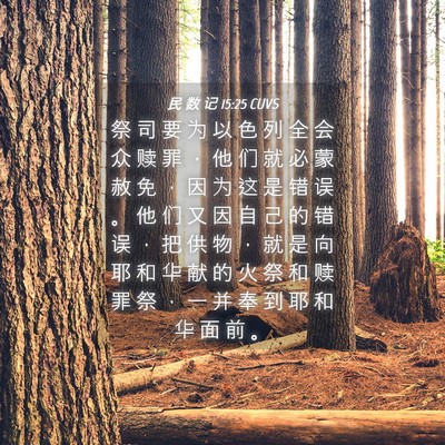Picture 04 - 民 数 记 15:25 CUVS - 祭 司 要 为 以 色 列 全 会 众 赎 罪 - Bible Verse Picture