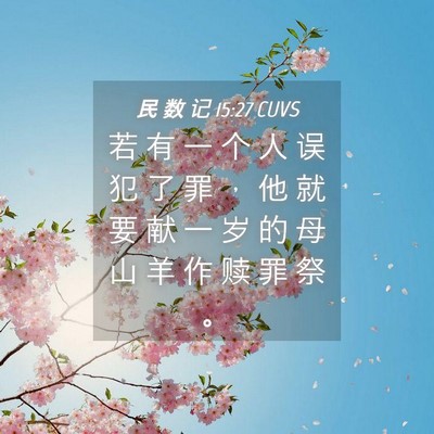 Picture 04 - 民 数 记 15:27 CUVS - 若 有 一 个 人 误 犯 了 罪 ， 他 就 - Bible Verse Picture
