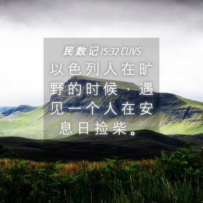 Picture 04 - 民 数 记 15:32 CUVS - 以 色 列 人 在 旷 野 的 时 候 ， 遇 - Bible Verse Picture