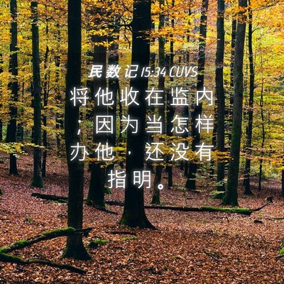 Picture 04 - 民 数 记 15:34 CUVS - 将 他 收 在 监 内 ； 因 为 当 怎 样 - Bible Verse Picture