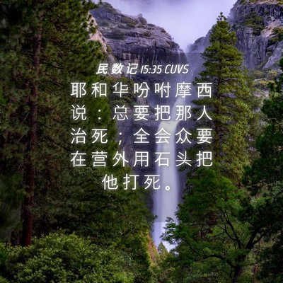 Picture 04 - 民 数 记 15:35 CUVS - 耶 和 华 吩 咐 摩 西 说 ： 总 要 把 - Bible Verse Picture