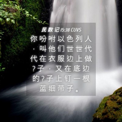 Picture 04 - 民 数 记 15:38 CUVS - 你 吩 咐 以 色 列 人 ， 叫 他 们 世 - Bible Verse Picture