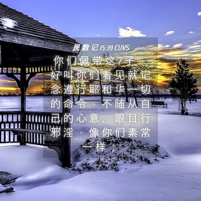 Picture 04 - 民 数 记 15:39 CUVS - 你 们 佩 带 这 ? 子 ， 好 叫 你 们 看 - Bible Verse Picture