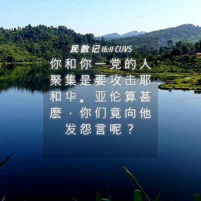 Picture 04 - 民 数 记 16:11 CUVS - 你 和 你 一 党 的 人 聚 集 是 要 攻 - Bible Verse Picture