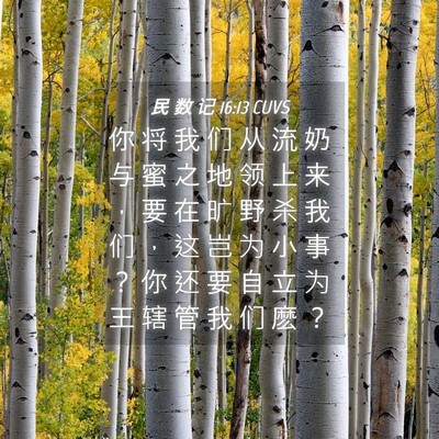 Picture 04 - 民 数 记 16:13 CUVS - 你 将 我 们 从 流 奶 与 蜜 之 地 领 - Bible Verse Picture