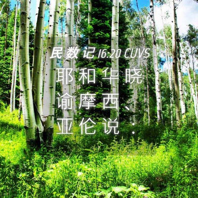 Picture 04 - 民 数 记 16:20 CUVS - 耶 和 华 晓 谕 摩 西 、 亚 伦 说 - Bible Verse Picture